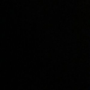 Meet your Posher, Daisy